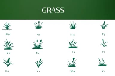 Grass by Heartcraft Atelier — Dingbats Font — thumbnail 3