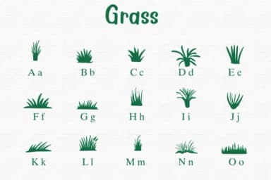 Grass by Nongyao — Dingbats Font — thumbnail 2