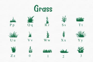 Grass by Nongyao — Dingbats Font — thumbnail 3