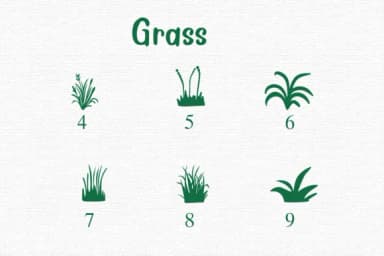 Grass by Nongyao — Dingbats Font — thumbnail 4