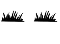 Grass by Nongyao — Dingbats Font — thumbnail 8