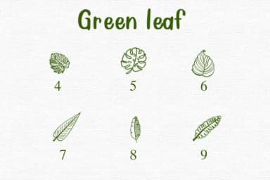 Green Leaf by Sontaya — Dingbats Font — thumbnail 4
