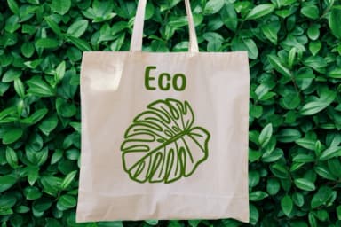 Green Leaf by Sontaya — Dingbats Font — thumbnail 5