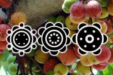 Gullar by vladimirnikolic — Dingbats Font — thumbnail 2