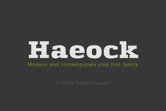 Haeock Family by Pedro Alexandre Teixeira — Slab Serif Font