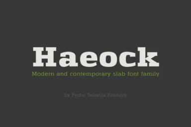 Haeock Family by Pedro Alexandre Teixeira — Slab Serif Font — thumbnail 1