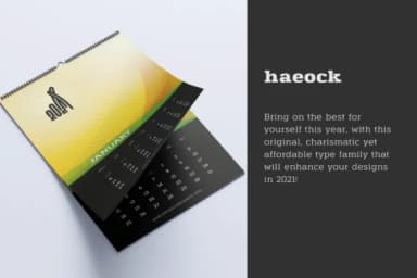 Haeock Family by Pedro Alexandre Teixeira — Slab Serif Font — thumbnail 2