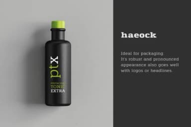 Haeock Family by Pedro Alexandre Teixeira — Slab Serif Font — thumbnail 3