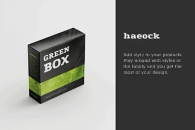 Haeock Family by Pedro Alexandre Teixeira — Slab Serif Font — thumbnail 4