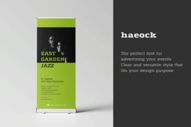 Haeock Family by Pedro Alexandre Teixeira — Slab Serif Font — thumbnail 5