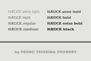 Haeock Family by Pedro Alexandre Teixeira — Slab Serif Font — thumbnail 6