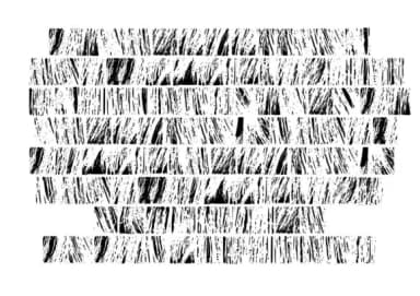 Hair Textured Glyphs by GraphicsBam Fonts — Dingbats Font — thumbnail 2