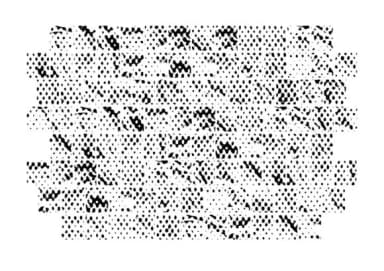 Halftone Textured Glyphs by GraphicsBam Fonts — Dingbats Font — thumbnail 2