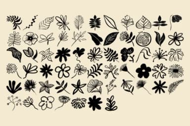 Hand Drawn Floral by f33ls design — Dingbats Font — thumbnail 2