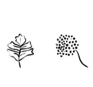 Hand Drawn Floral by f33ls design — Dingbats Font — thumbnail 5