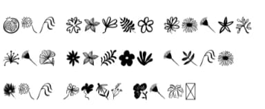 Hand Drawn Floral by f33ls design — Dingbats Font — thumbnail 6