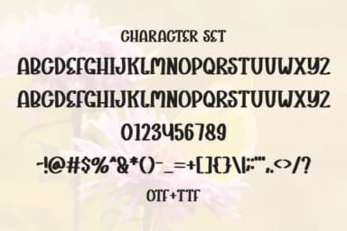 Happy Butterfly by Letterayu — Slab Serif Font — thumbnail 6