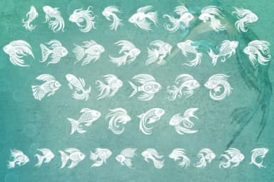 Happy Fish by MOMAT THIRTYONE — Dingbats Font — thumbnail 2