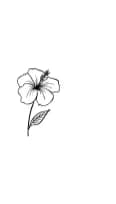 Happy Flower by MOMAT THIRTYONE — Dingbats Font — thumbnail 3