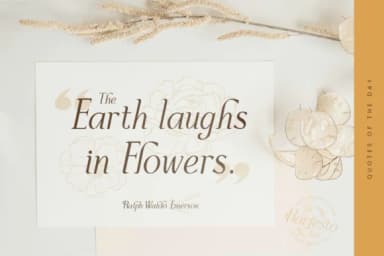 Harfesto by Keristyper — Slab Serif Font — thumbnail 4