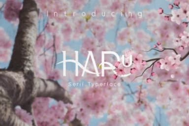 Haru by Trotoart Design — Slab Serif Font — thumbnail 1