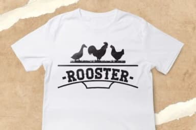 Hawk Bells by Intype Studio — Slab Serif Font — thumbnail 4