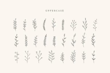 Heart Leaves by CraftedType Studio — Dingbats Font — thumbnail 2