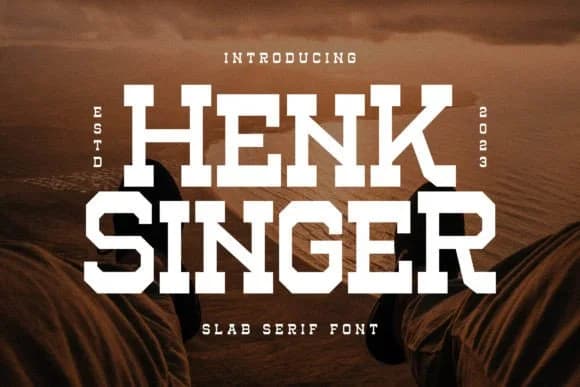 Henk Singer by Storytype Studio — Slab Serif Font