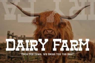 Henk Singer by Storytype Studio — Slab Serif Font — thumbnail 3