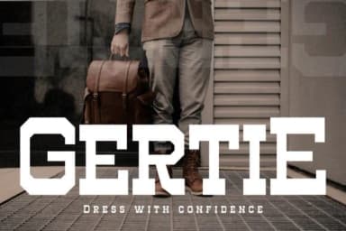 Henk Singer by Storytype Studio — Slab Serif Font — thumbnail 8