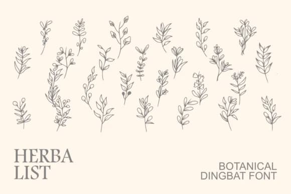Herbalist by Intype Studio — Dingbats Font