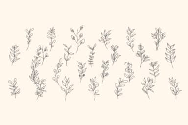 Herbalist by Intype Studio — Dingbats Font — thumbnail 2