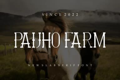 Hiaklimah by brahamb78 — Slab Serif Font — thumbnail 3