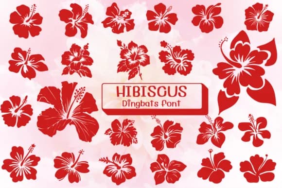 Hibiscus by Ketsarin — Dingbats Font