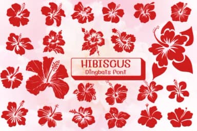 Hibiscus by Ketsarin — Dingbats Font — thumbnail 1