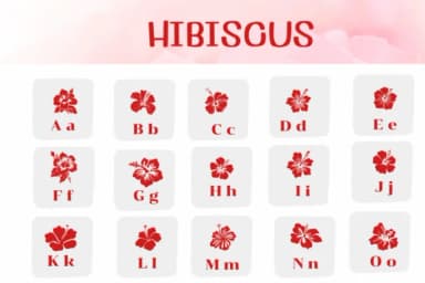Hibiscus by Ketsarin — Dingbats Font — thumbnail 2
