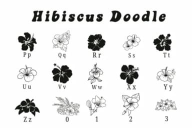 Hibiscus Doodle by Suphitchaya — Dingbats Font — thumbnail 3