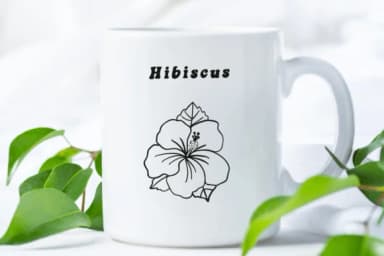 Hibiscus Doodle by Suphitchaya — Dingbats Font — thumbnail 7