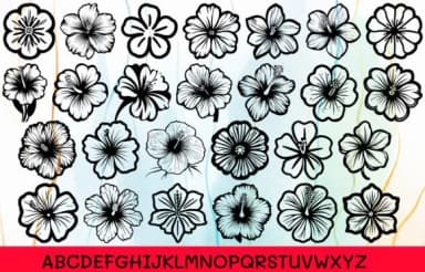 Hibiscus Flower by MOMAT THIRTYONE — Dingbats Font — thumbnail 2