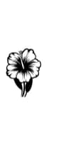 Hibiscus Flower by MOMAT THIRTYONE — Dingbats Font — thumbnail 3