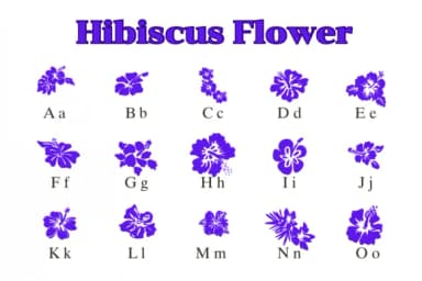 Hibiscus Flower by Nongyao — Dingbats Font — thumbnail 2