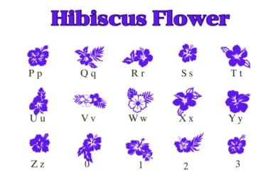 Hibiscus Flower by Nongyao — Dingbats Font — thumbnail 3