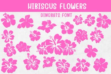 Hibiscus Flowers by Sontaya — Dingbats Font — thumbnail 1