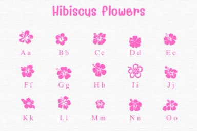 Hibiscus Flowers by Sontaya — Dingbats Font — thumbnail 2