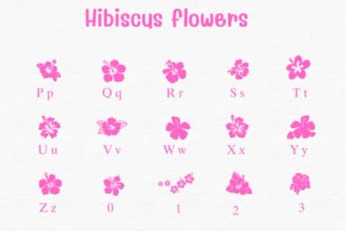 Hibiscus Flowers by Sontaya — Dingbats Font — thumbnail 3