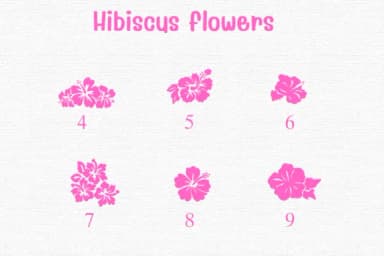 Hibiscus Flowers by Sontaya — Dingbats Font — thumbnail 4