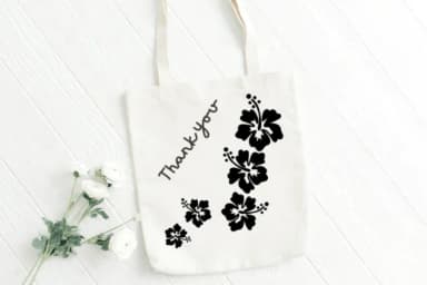 Hibiscus Flowers by Sontaya — Dingbats Font — thumbnail 7