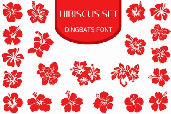 Hibiscus Set by Heartcraft Atelier — Dingbats Font