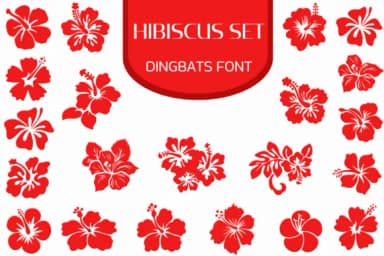 Hibiscus Set by Heartcraft Atelier — Dingbats Font — thumbnail 1