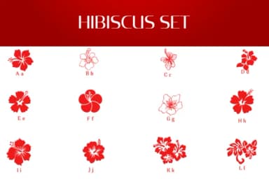 Hibiscus Set by Heartcraft Atelier — Dingbats Font — thumbnail 2